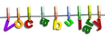 Vocabulary 