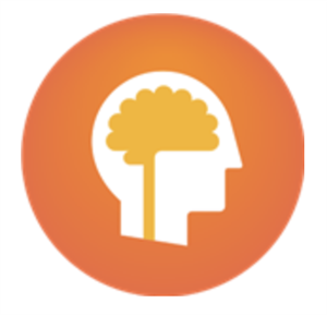 psychologist 