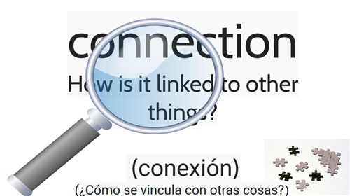 connection 
